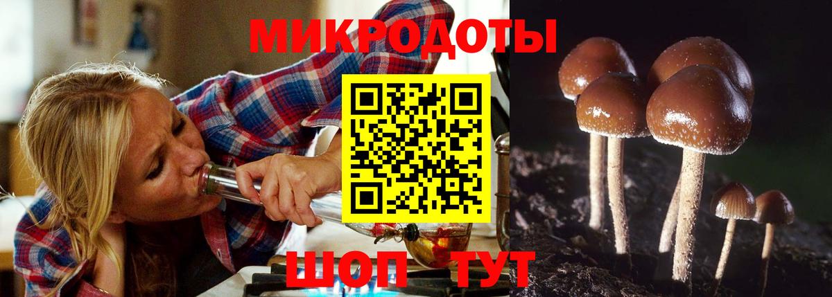Галлюциногенные грибы мицелий  Псилоцибиновые грибы GOLDEN TEACHER  Медногорск  Вход с VPN 